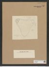 Diatomeae indet. Zeichnungen Sammlung Grunow Nr. 7542 (NHMW-BOT-W0376686)